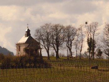 Ökumenische Wanderung zur kleinen Kalmit Das stimmungsvolle Bild zeigt die kleine Kalmit, einen Hügel nahe Landau, mit einer von Weinstöcken umgebenen Kapelle